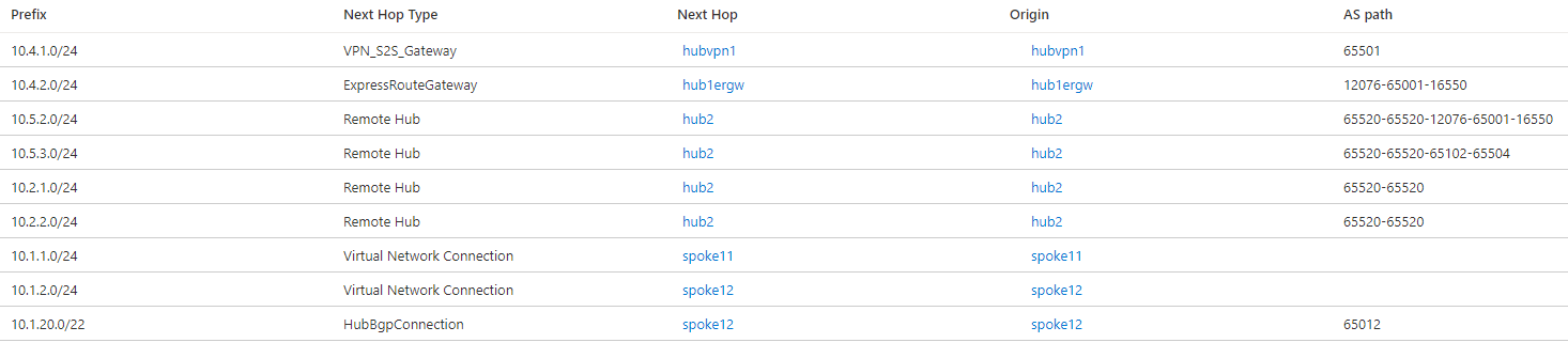 Sanal WAN hub 1'deki etkili yolların ekran görüntüsü.