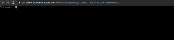 Parola istemini gösteren ssh-secure-go.akamai-access.com komut penceresinin ekran görüntüsü.