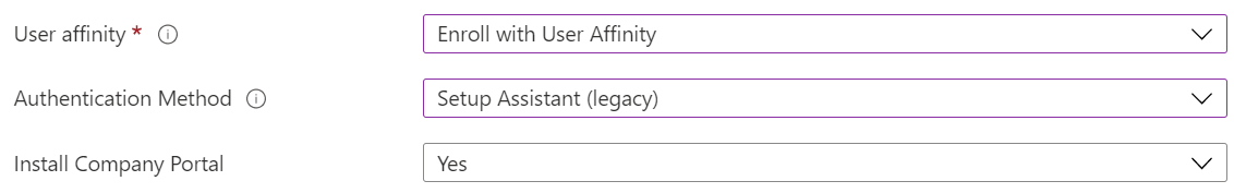 Intune yönetim merkezinde ve Microsoft Intune'da iOS/iPadOS cihazlarını otomatik cihaz kaydı (ADE) kullanarak kaydedin. Kullanıcı benzimle kaydet'i seçin, kimlik doğrulaması için Kurulum Yardımcısı'nı kullanın ve Şirket Portalı uygulamasını yükleyin.