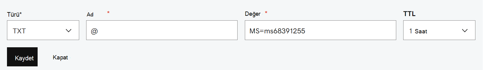 Etki alanı doğrulama TXT kaydı için tablodaki değerleri doldurun.