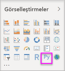Görselleştirmeler'de Python seçeneğini gösteren ekran görüntüsü.