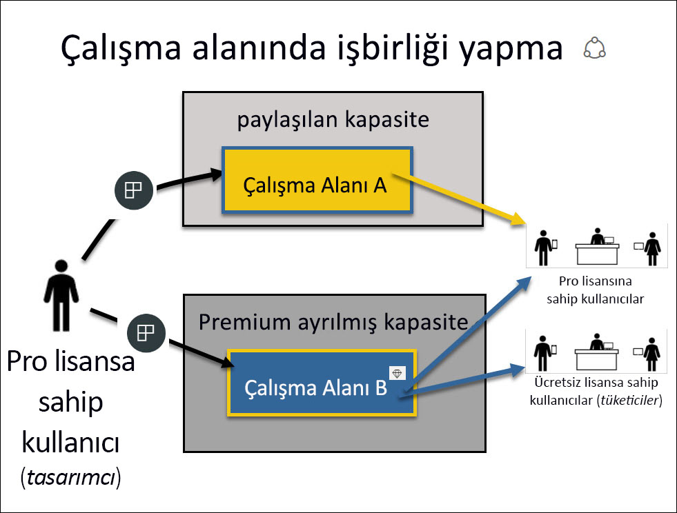 Premium ve paylaşılan kapasite çalışma alanlarını ve her biriyle etkileşim kurabilen kullanıcıları gösteren ekran görüntüsü.