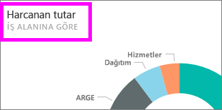 Başlığı vurgulayan kutucuğun ekran görüntüsü.