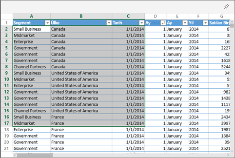 Excel çalışma kitabındaki seçili hücreleri gösteren ekran görüntüsü.