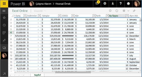 Power BI'da Excel Online'ın gösterildiği ekran görüntüsü.