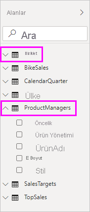 Bike ve ProductManagers alanlarının seçili olduğu Alanlar bölmesinin ekran görüntüsü.