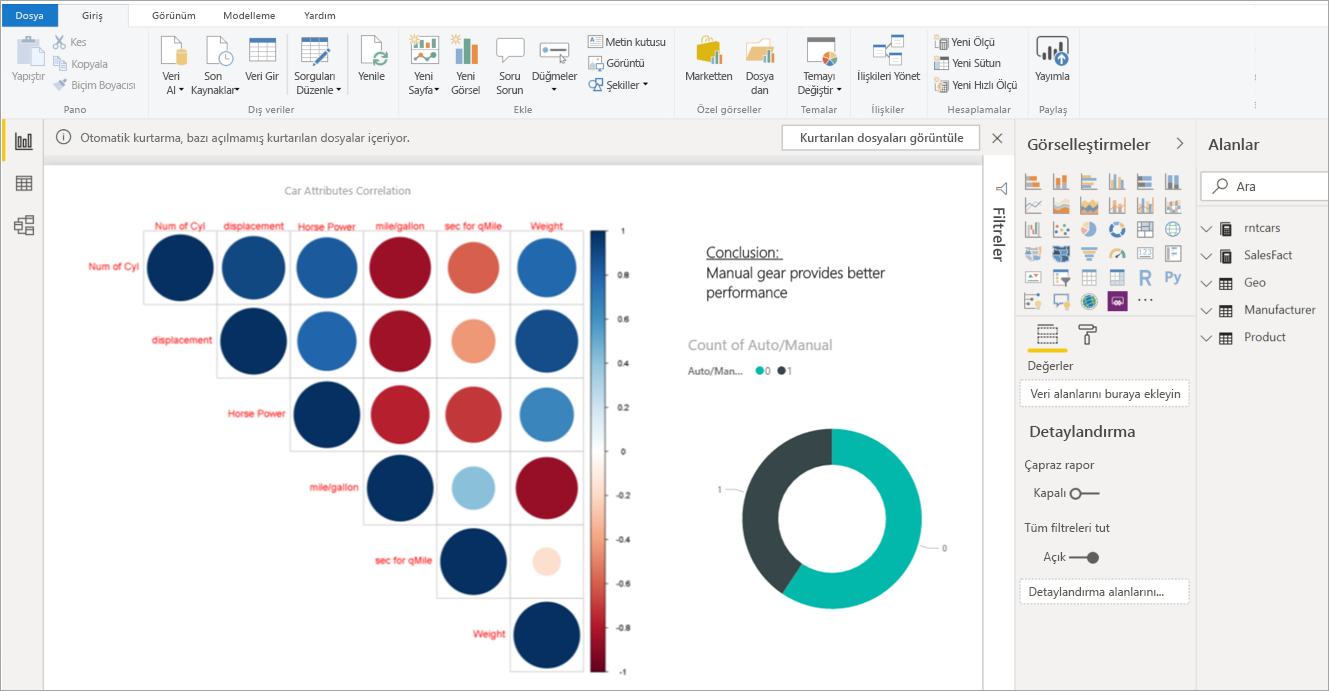 Desktop report with two visuals.