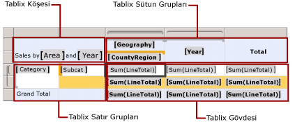 Tablix veri bölgesi alanları