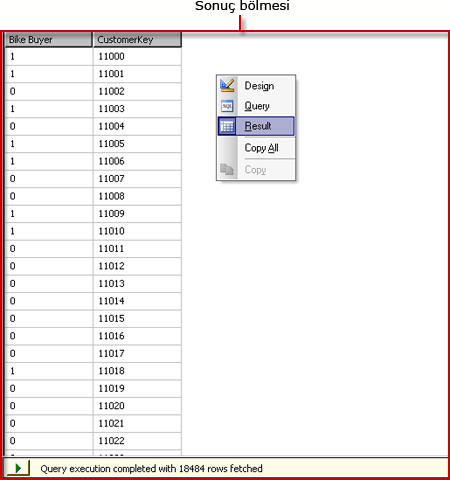 Analysis Services DMX sorgu tasarımcısı, sonuç görünümü