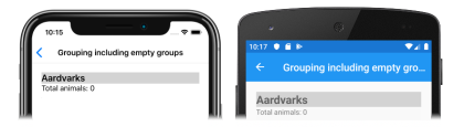 iOS ve Android'de CollectionView'da boş bir grubun ekran görüntüsü