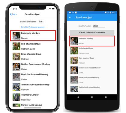 iOS ve Android'de ScrollToPosition.Start ile CollectionView dikey listesinin ekran görüntüsü