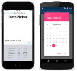 DatePicker Örneği