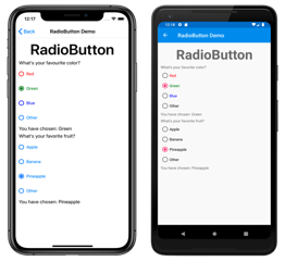 RadioButton Örneği