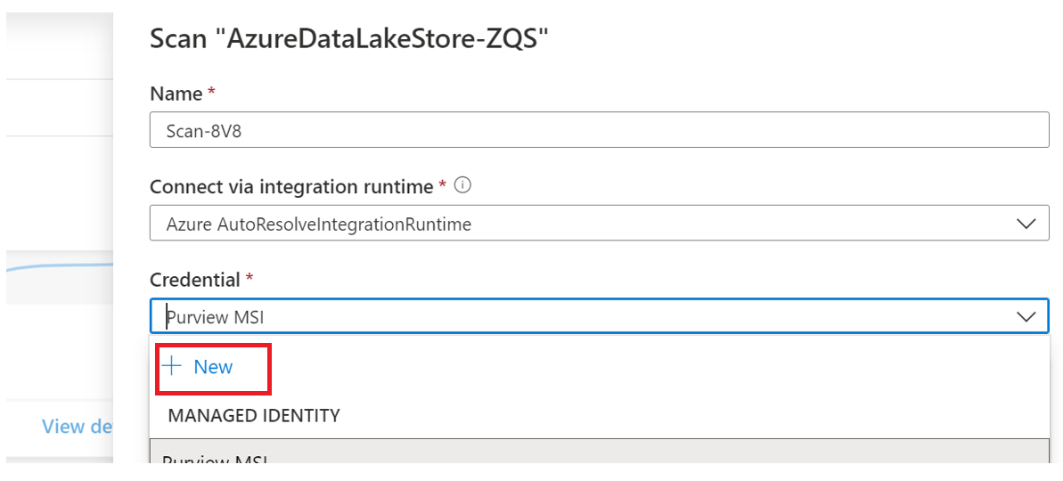 Screenshot that shows the service principal option