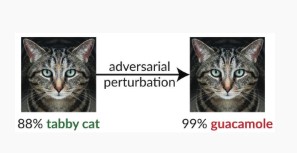 Two photos of a cat. One photo is classified as a tabby cat. After adversarial perturbation, the other photo is classified as guacamole.