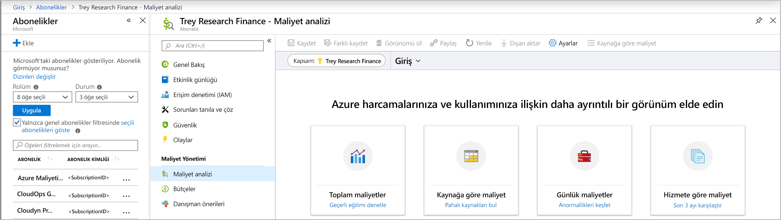 Aboneliklerin Maliyet Analizi paneline gidilen Azure portalının ekran görüntüsü.