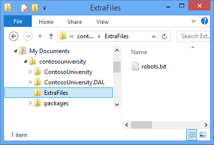 ExtraFiles 文件夹