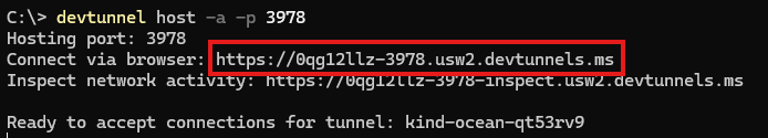 devtunnel 成功