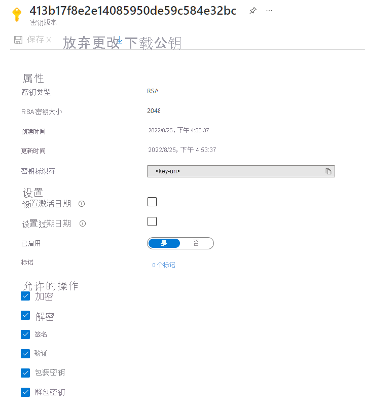 显示 Azure 门户中密钥保管库密钥 URI 的屏幕截图。