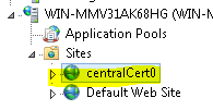 I S 管理器导航树的屏幕截图。在“站点”下，突出显示中央证书零。
