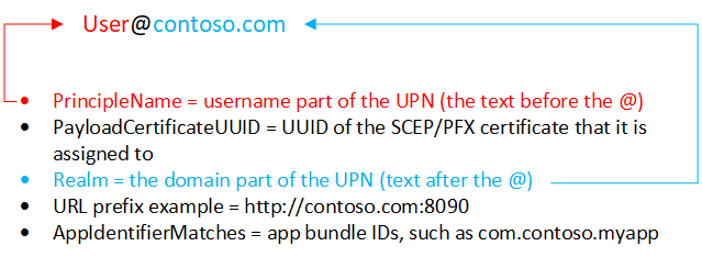 Microsoft Intune 中的 iOS/iPadOS 用户名 SSO 属性