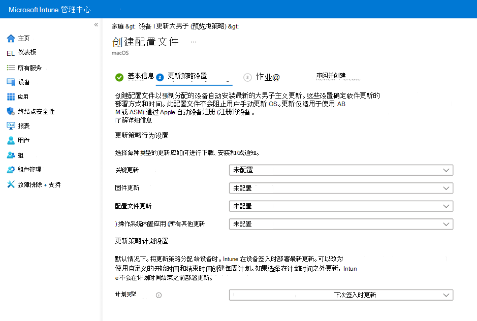 “更新策略设置”页的屏幕截图。