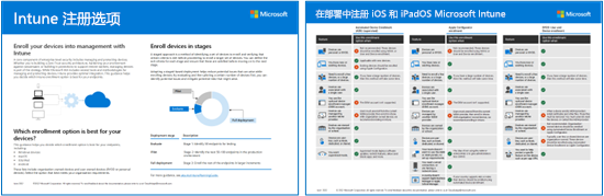 Intune注册选项海报两页的缩略图