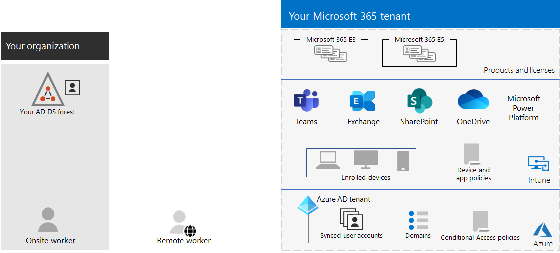 Microsoft 365 租户的示例。