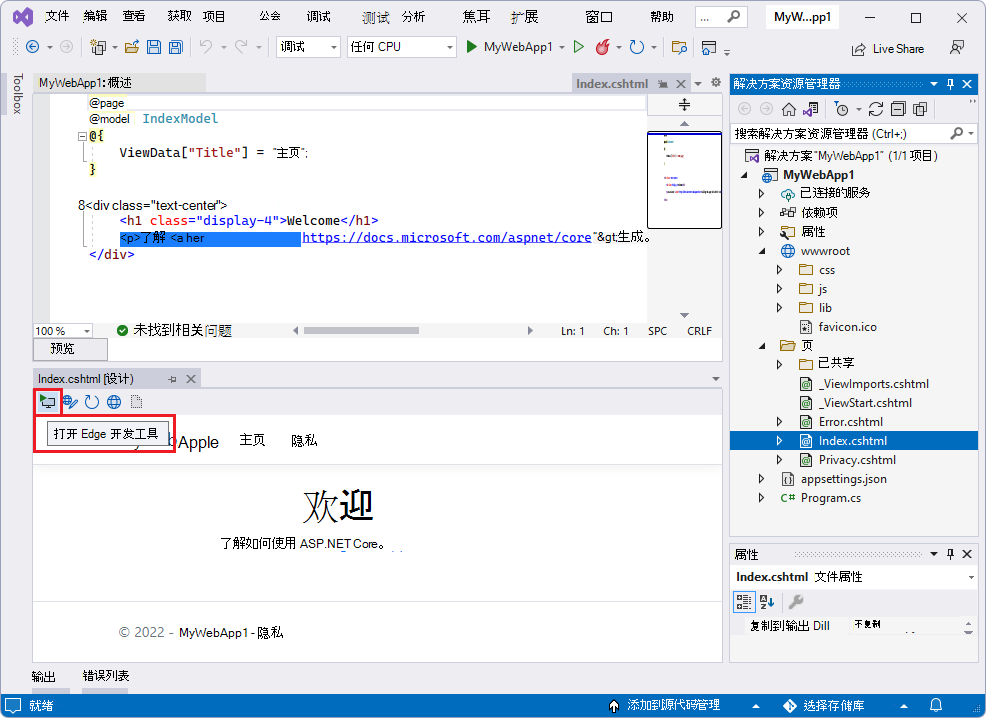 打开 Edge DevTools 的 ASP.NET 项目