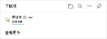 Microsoft Edge 的“下载”对话框中列出的根证书文件