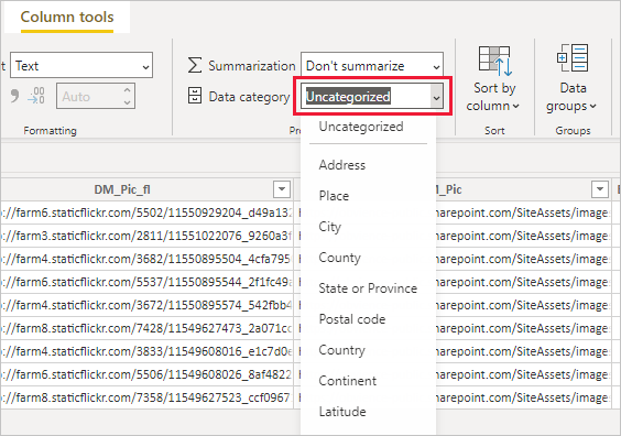 显示“数据类别”筛选器的 Power BI Desktop 的屏幕截图。