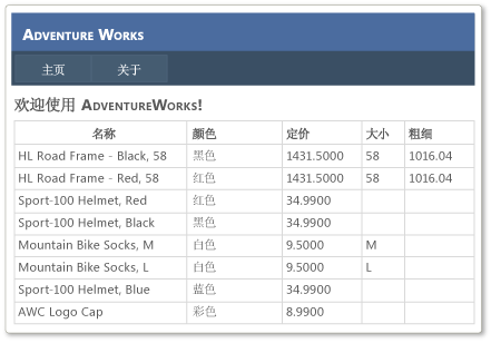 带有外观栏的 Adventure Works 主页