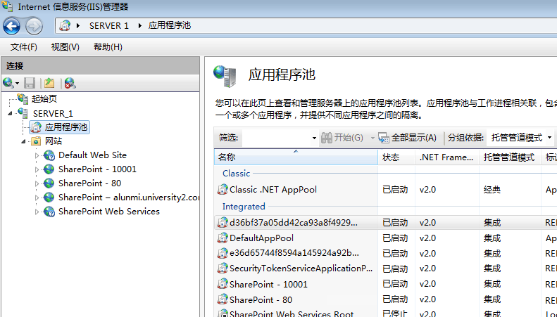 显示网站和应用程序池的 IIS