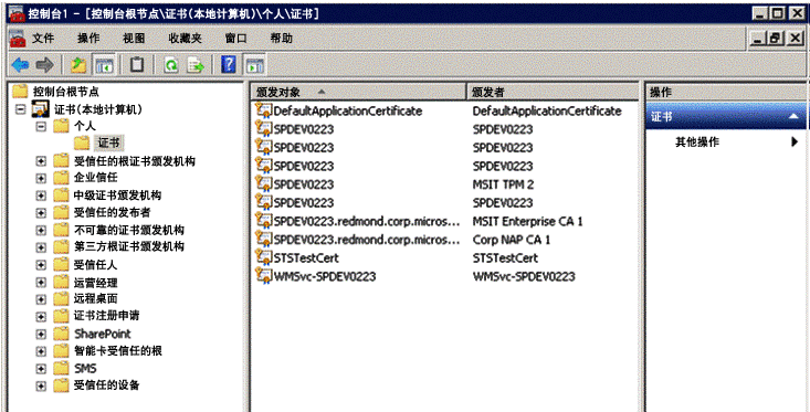 显示 STSTestCert 的 MMC