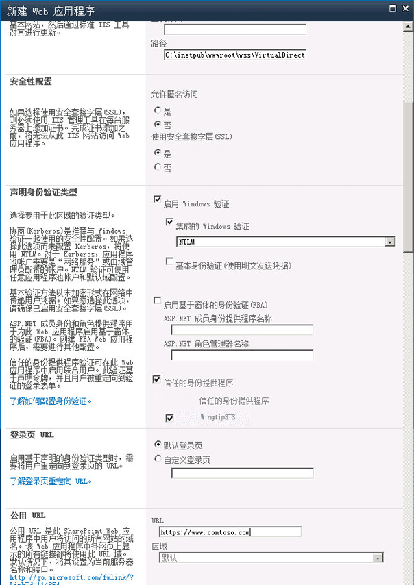 "新建 Web 应用程序"对话框