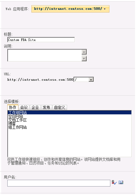 配置自定义 FBA Web 应用程序