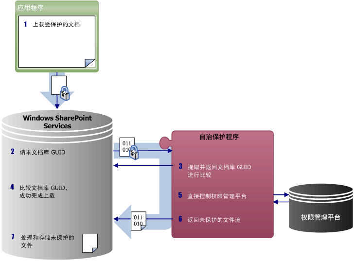 签入后集成 IRM 保护程序采取的步骤