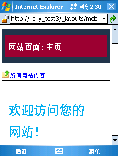 主页中的自定义标头部分