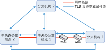 带有 WAN 优化程序的示例拓扑