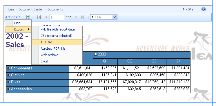 报表查看器 Web 部件