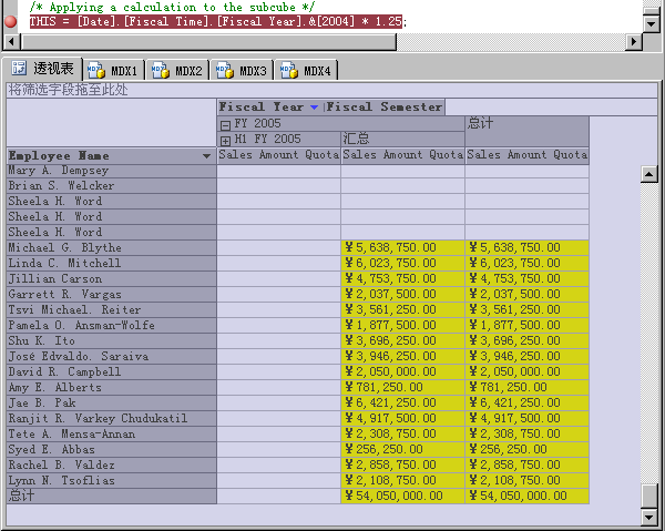 显示 2005 会计年度的数据窗格