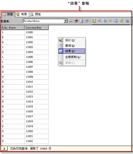 Analysis Services DMX 查询设计器，结果视图