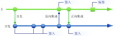 主分支