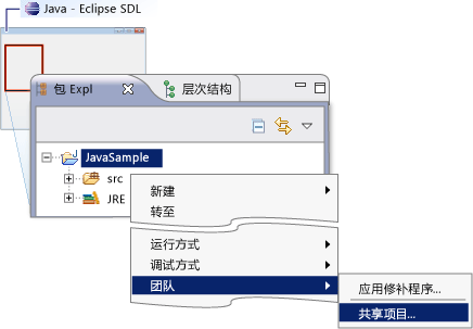 共享项目