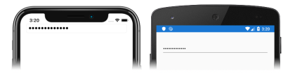 iOS 和 Android 上文本通过密码字符进行了掩码的文本的条目屏幕截图