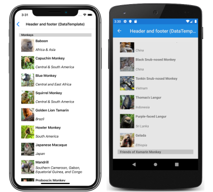 iOS 和 Android 上使用模板的 CollectionView 页眉和页脚的屏幕截图