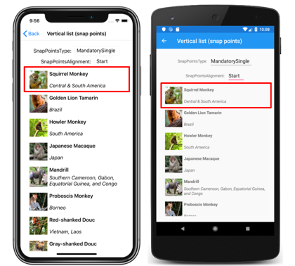 iOS 和 Android 上具有起始对齐点的 CollectionView 垂直列表的屏幕截图