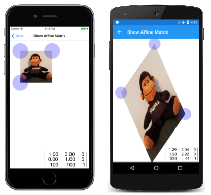 “显示仿射矩阵”页面的三重屏幕截图