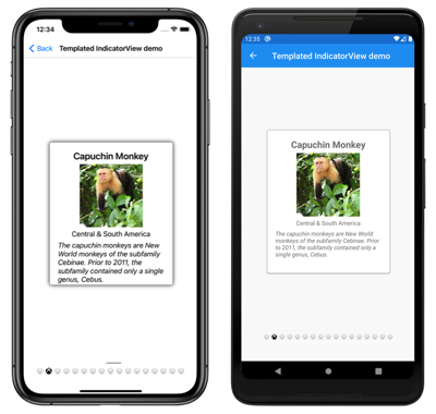 iOS 和 Android 上模板化 IndicatorView 的屏幕截图