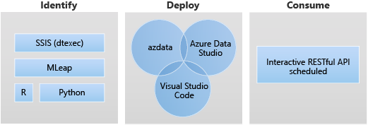 识别源（R、Python、SSIS (dtexec)），使用命令行、Azure Data Studio 或 Visual Studio Code 进行部署，并通过交互式 RESTful API 计划使用它们。